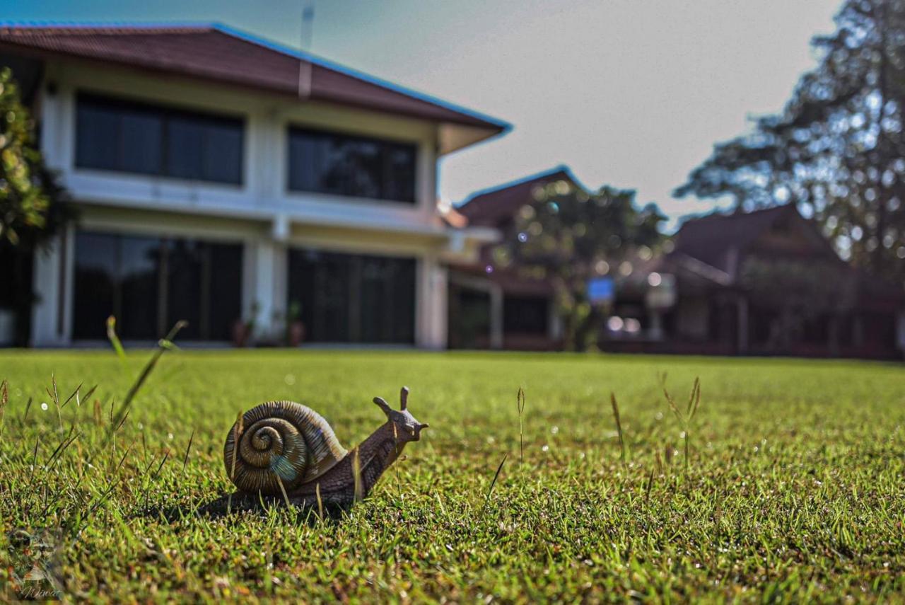 Serenity1 Homestay チェンダオ エクステリア 写真