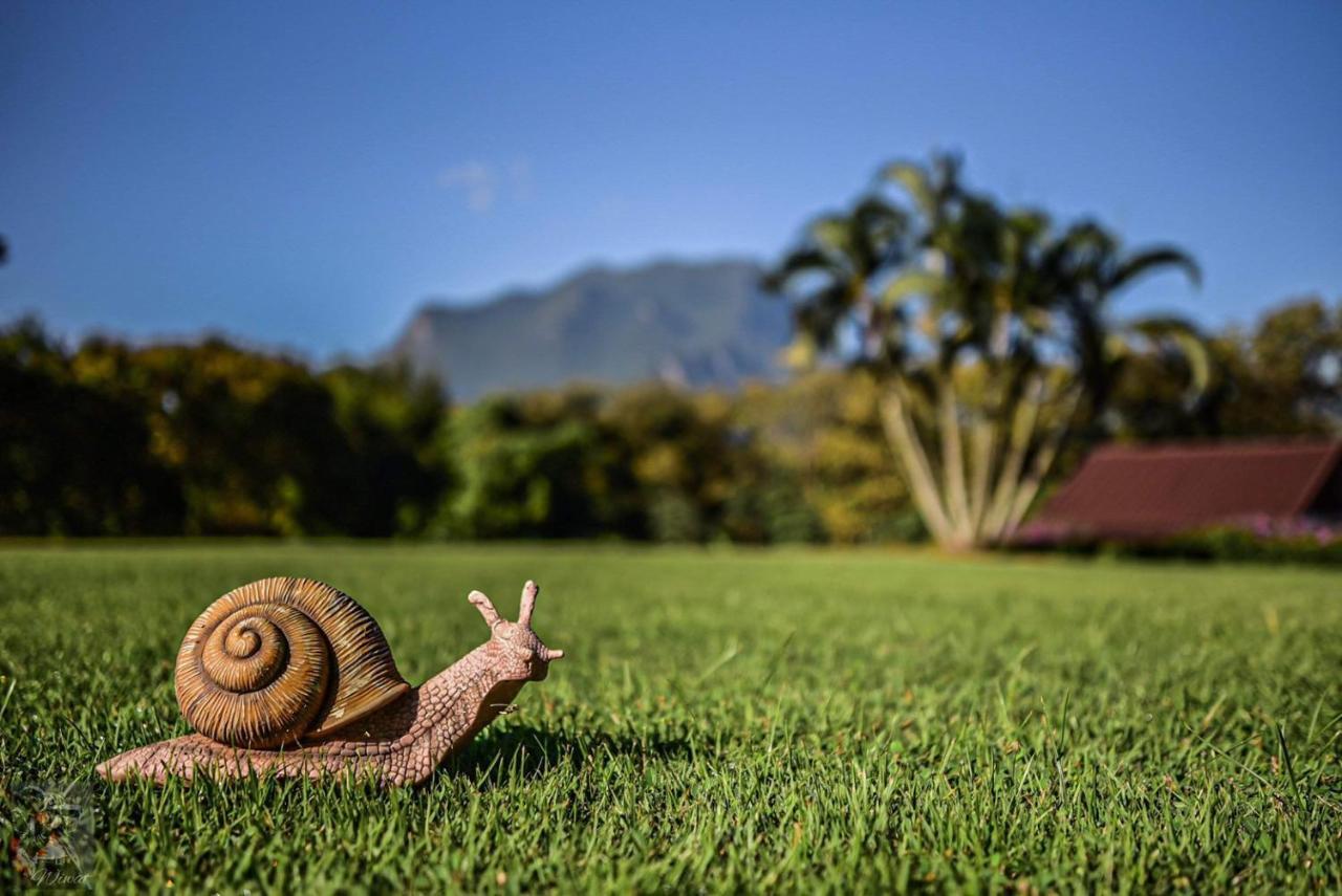 Serenity1 Homestay チェンダオ エクステリア 写真